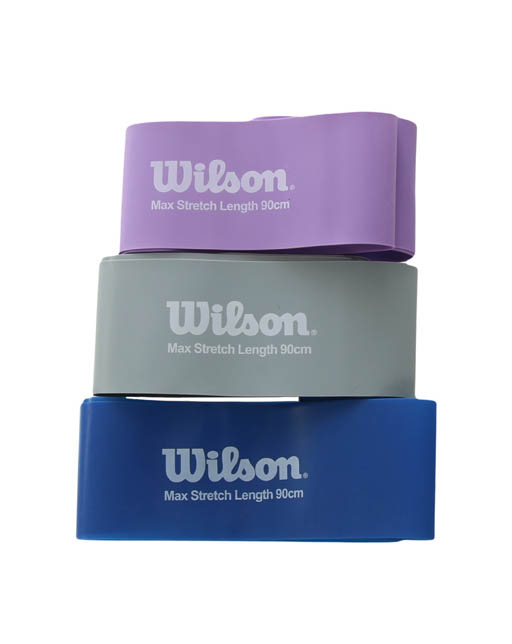 Bandas de resistencia Wilson